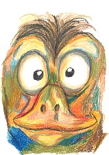 Drawings