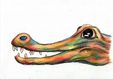 Drawings