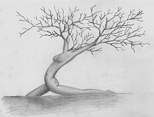 Drawings